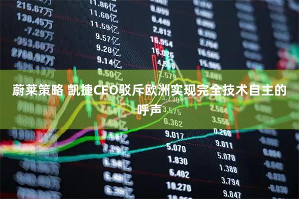 蔚莱策略 凯捷CEO驳斥欧洲实现完全技术自主的呼声